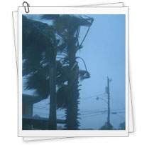 Tropical Storms